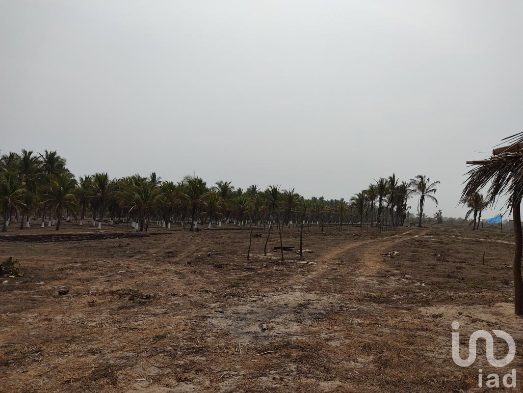 Venta Terreno / Lote Cruz Grande Centro - Florencio Villarreal